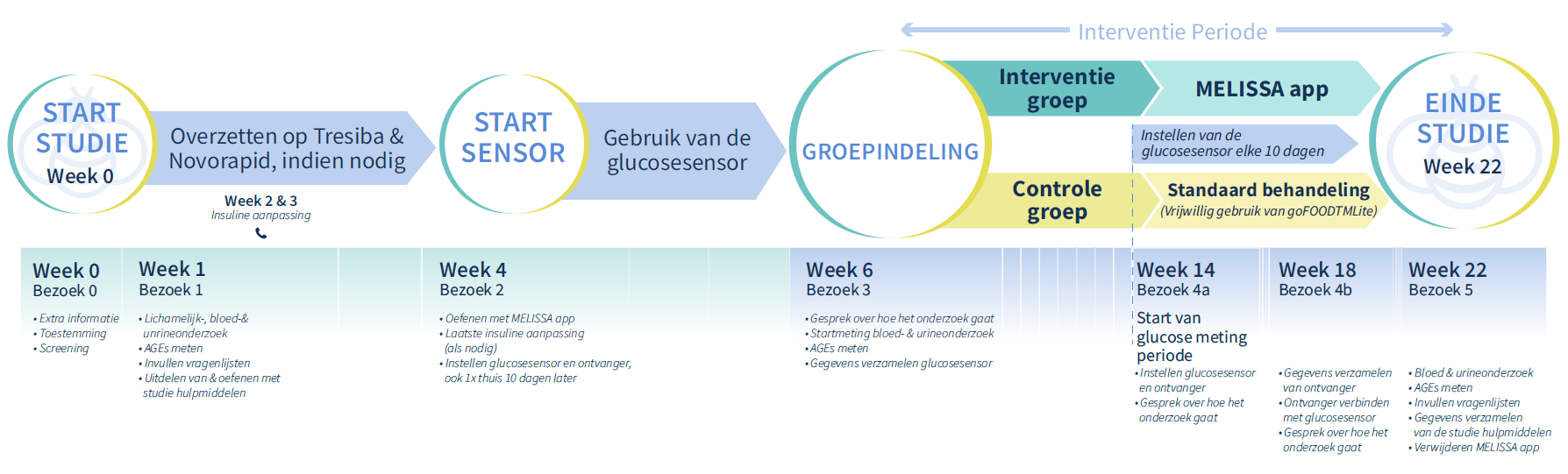 MELISSA_timeline_PIF_dutch Clinical study