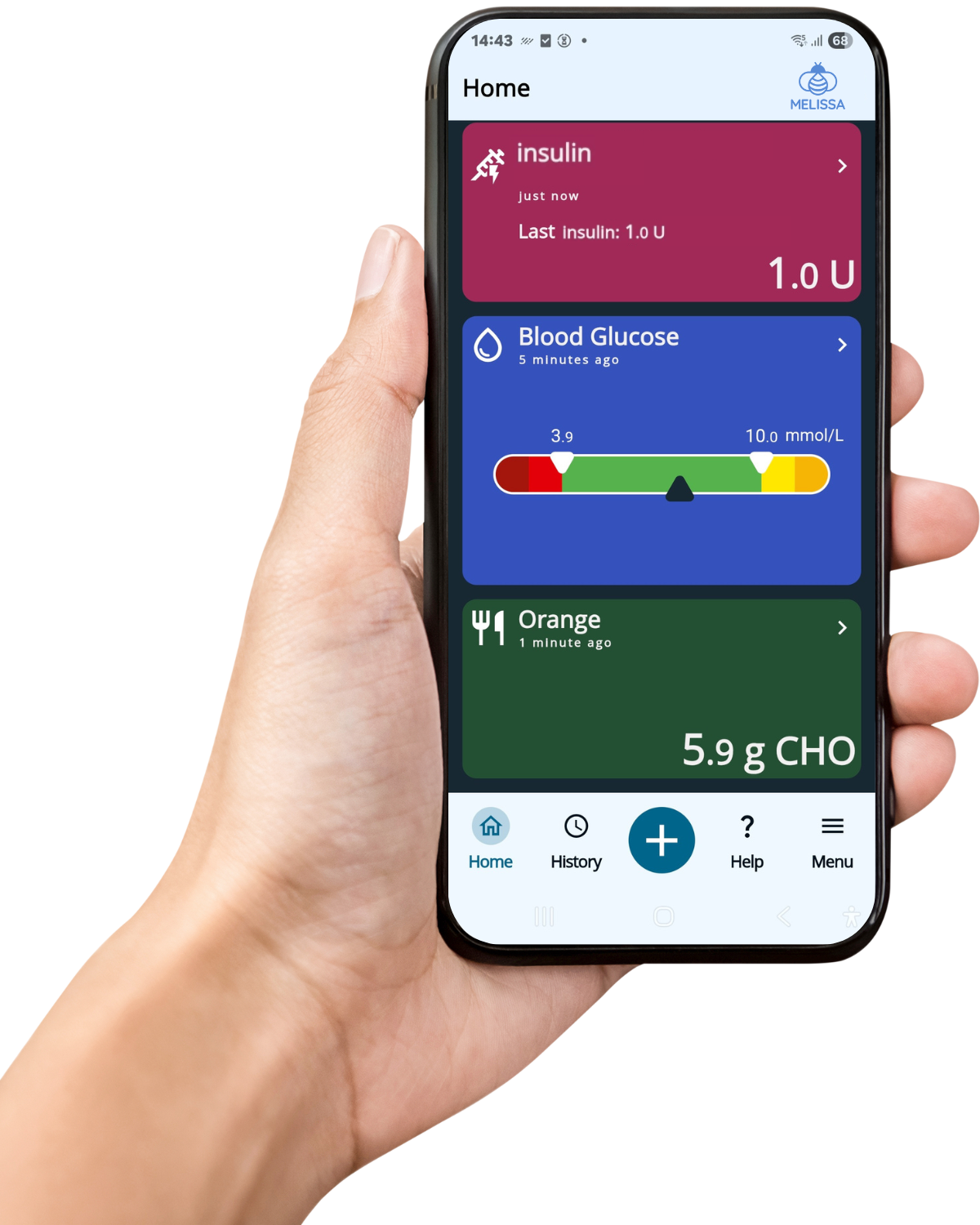 MELISSA app on the phone